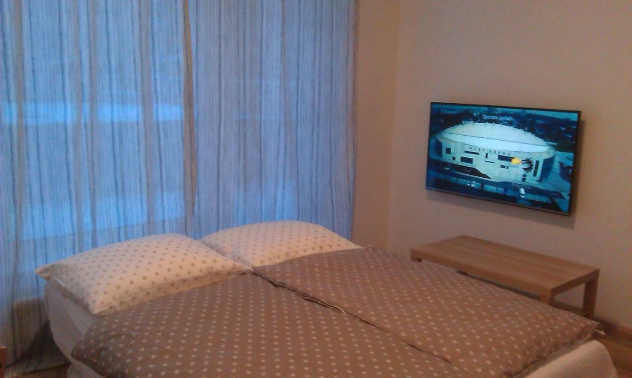Sunny, Fully Furnished Studio Type With Terrace Plzeň Eksteriør bilde